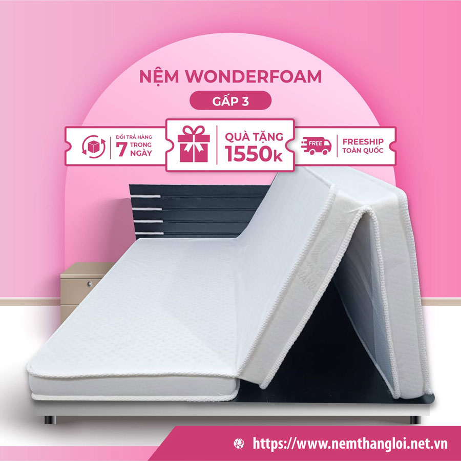 NỆM CAO SU WONDERFOAM THẮNG LỢI GẤP 3