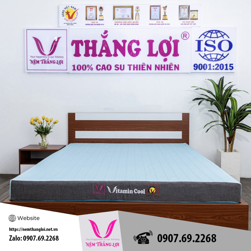 Nệm điều hòa Thắng Lợi Vitamin cool