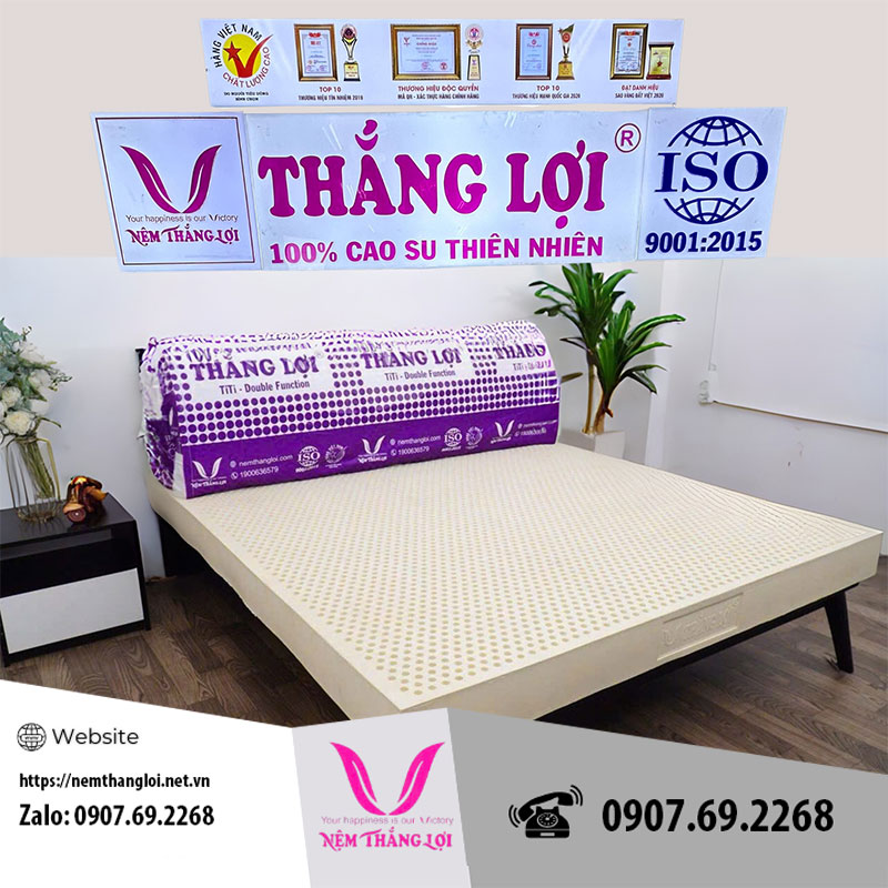 NỆM CAO SU THIÊN NHIÊN 100% TITI - DOUBLE FUNCTION